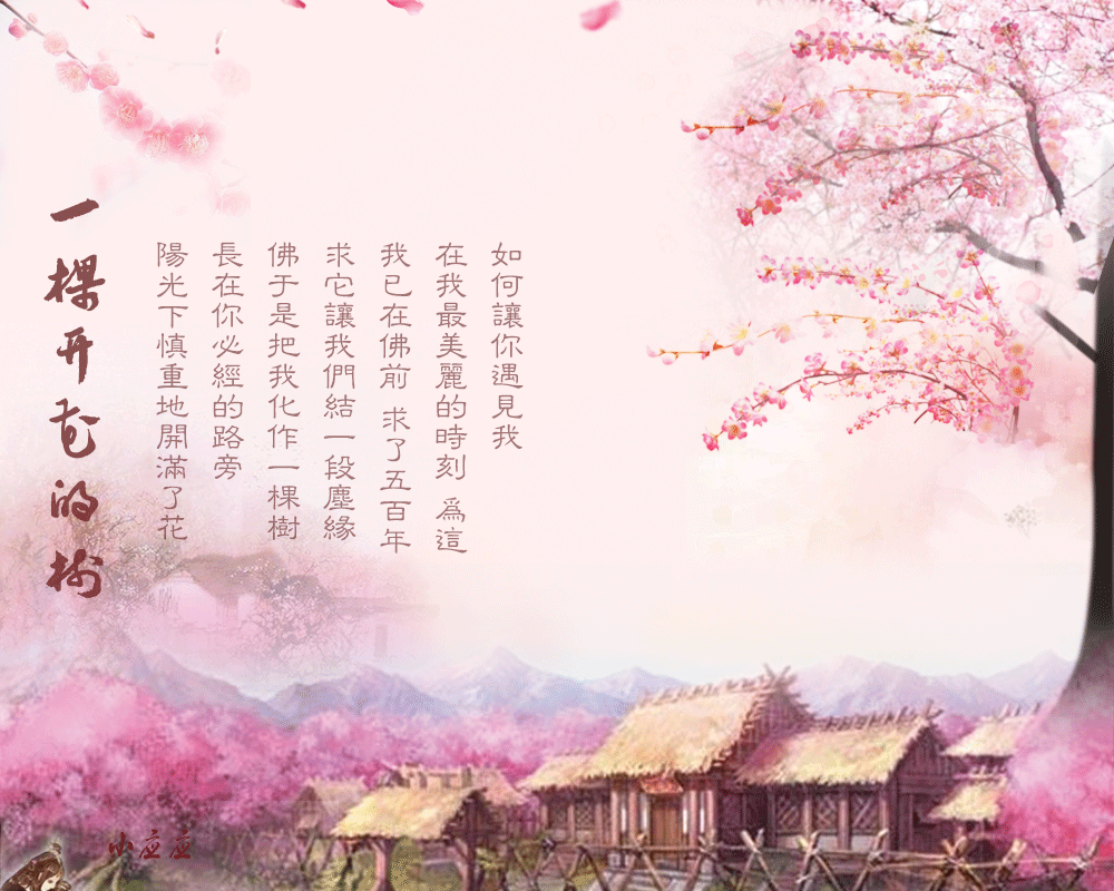 席慕容的《一颗开花的树》