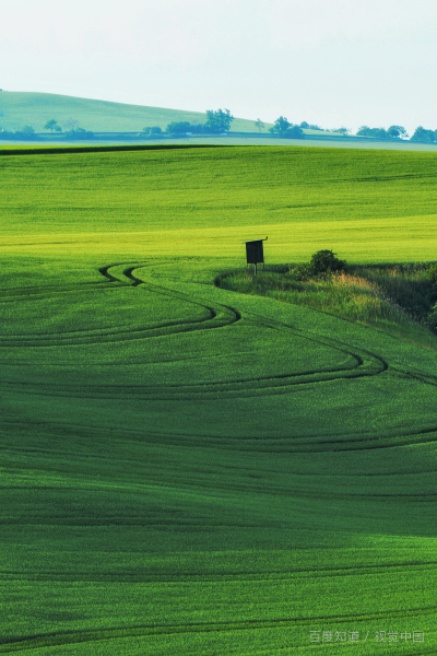 小满的相关农谚