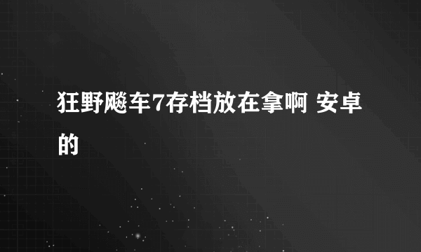 狂野飚车7存档放在拿啊 安卓的