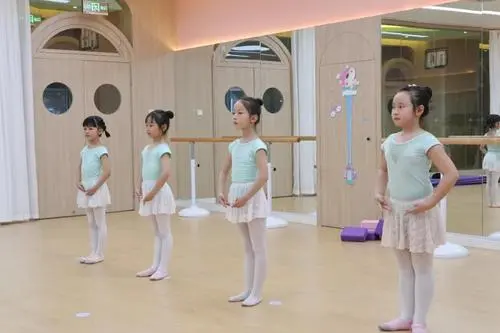 古典芭蕾和现代芭蕾的区别是什么?