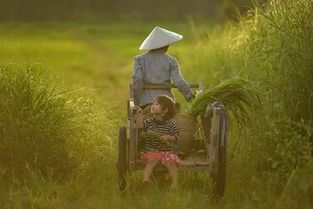 文在寅称韩国女性平等情况令人羞愧,韩国存在什么女性不平等现象?