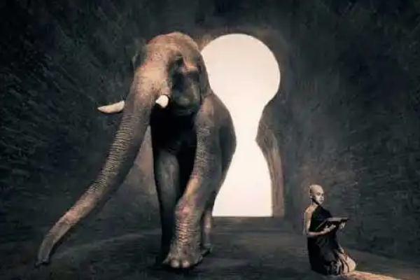 好看的纪录片有哪些?