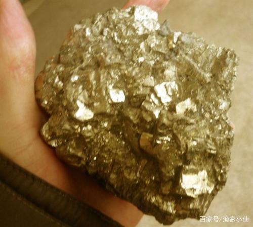 恶魔蠕虫是什么东西？为什么它能生存在几千米的地下呢？