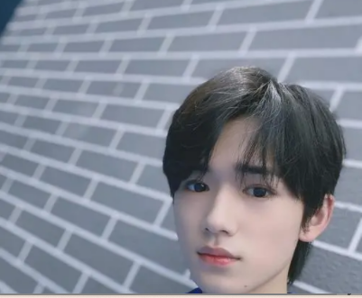 如何看待宋亚轩在宿舍养狗这件事？