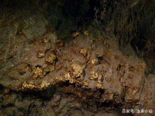 恶魔蠕虫是什么东西？为什么它能生存在几千米的地下呢？