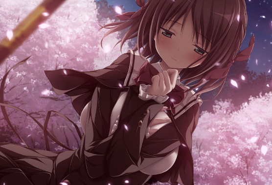 有哪些值得推荐的 Galgame?