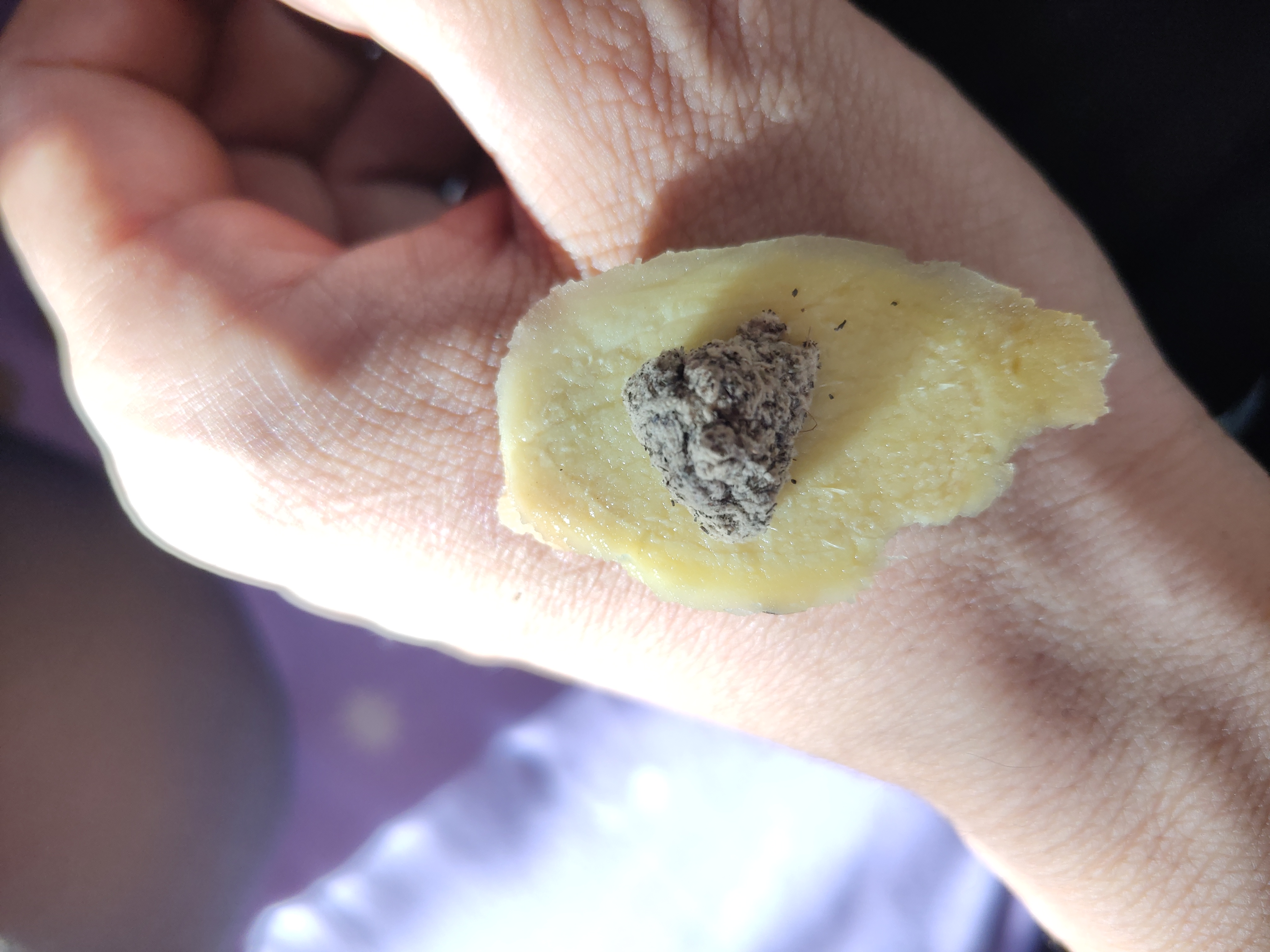 中国最好的艾灸培训学校