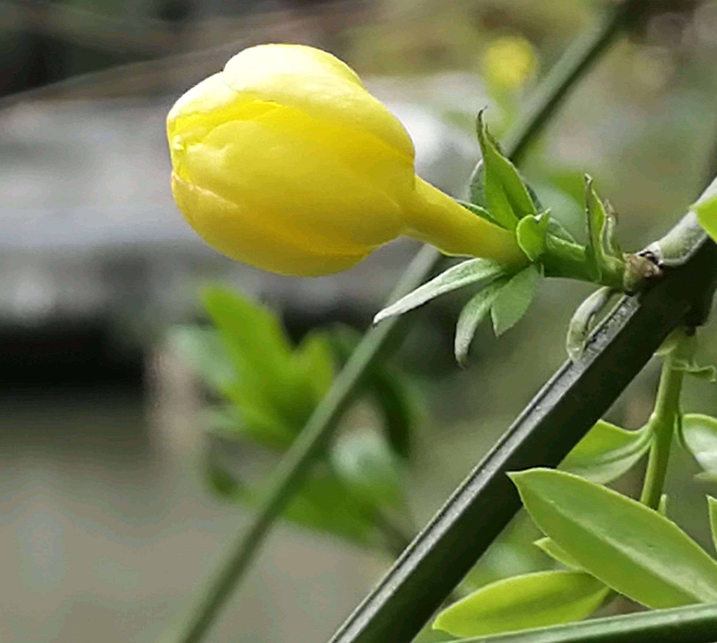 电脑蓝屏是怎么回事？怎么解决