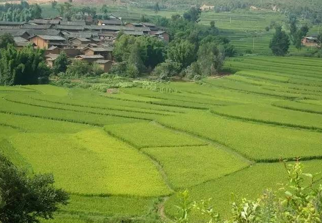 一亩地相当于多少平米？