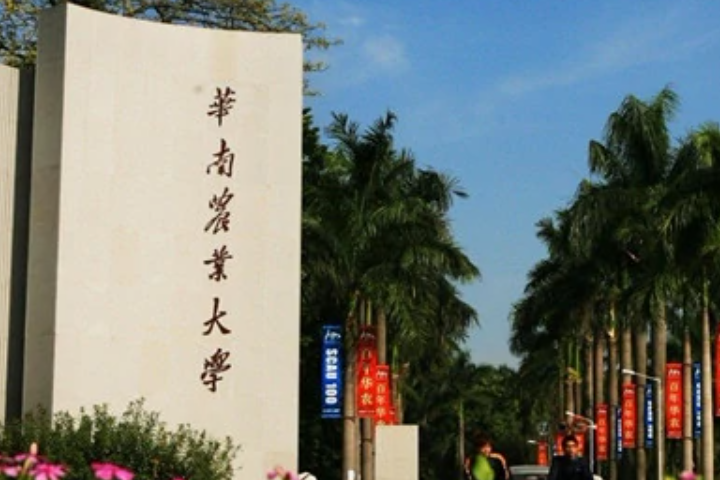 广州的大学学校有哪些