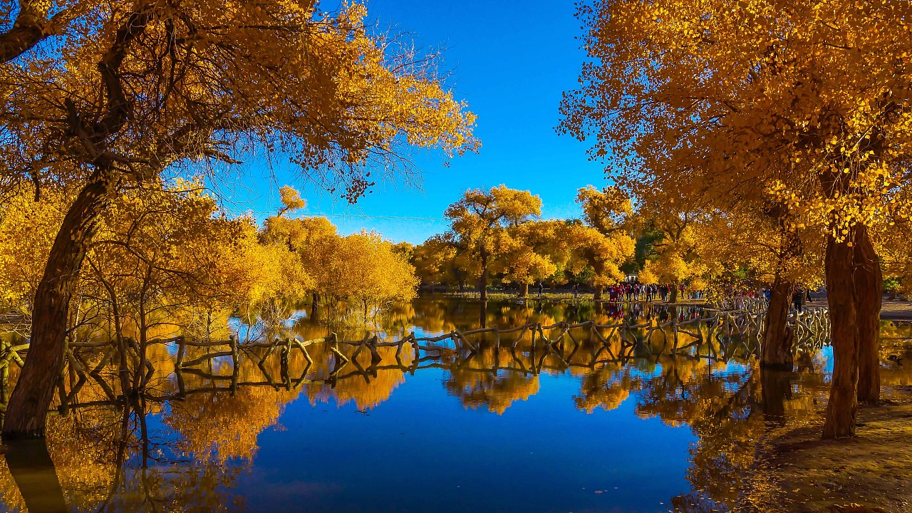 额济纳旗属于哪个市