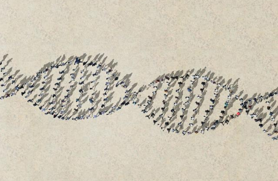 生物是如何进化的？