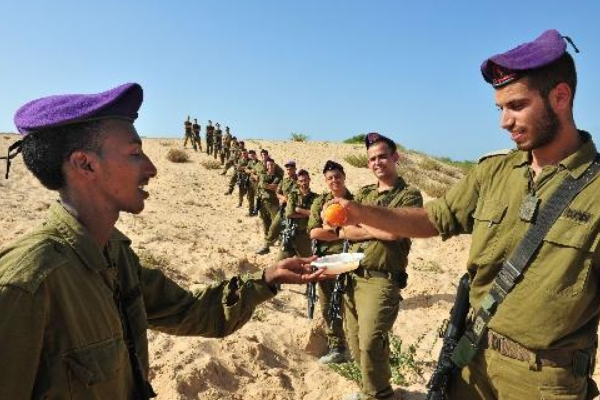 四大战斗民族是什么？