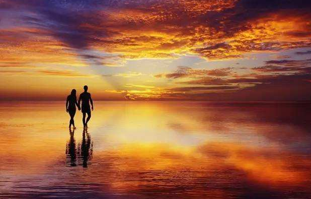 真情指的是什么呢?