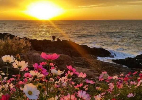 日照与青岛旅游哪个好？