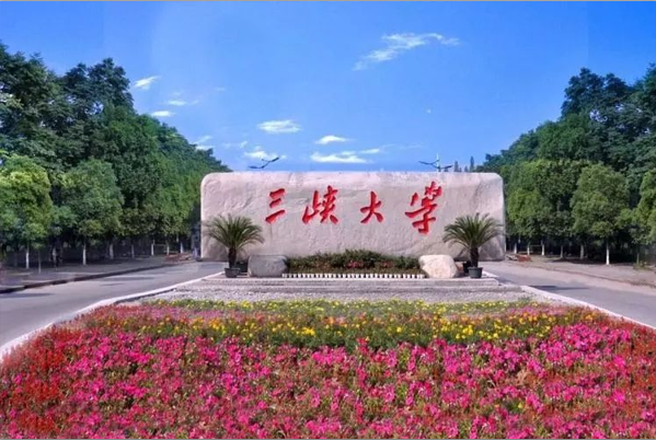 三峡大学教务处的网址是多少