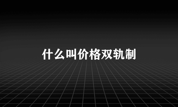 什么叫价格双轨制