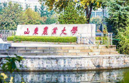 山东农业大学是一本还是二本？