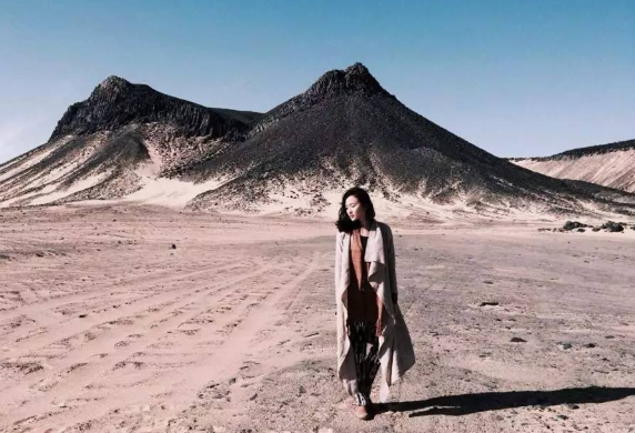 网红猫力宣布顺利产女,她是怎样走红的呢?