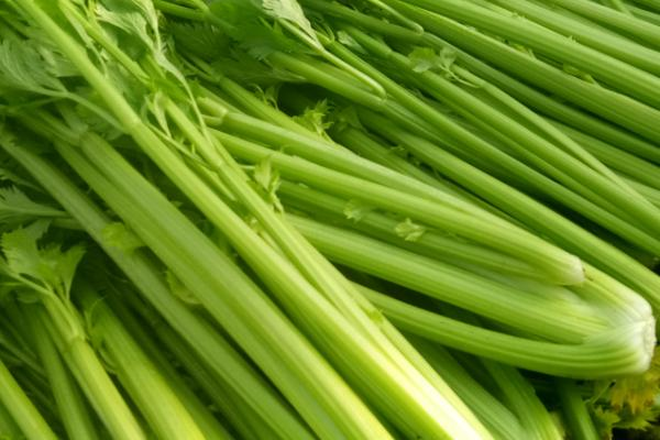 胡锡进谈媒体为5斤芹菜罚6.6万辩护,罚款最后有退回给那对夫妇吗?