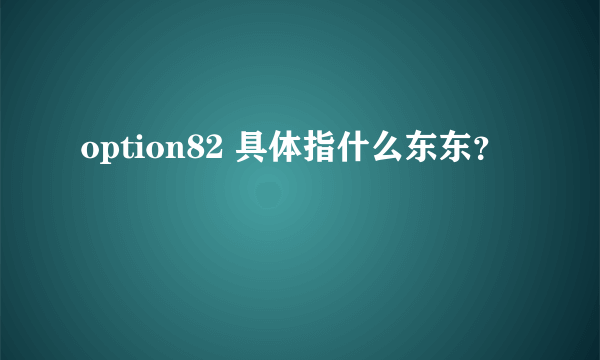 option82 具体指什么东东？