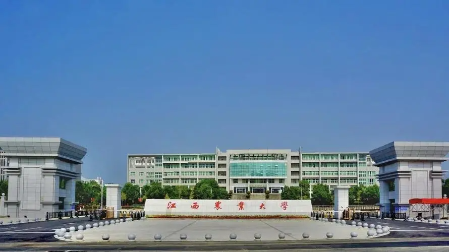 江西的大学排名