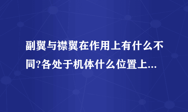 副翼与襟翼在作用上有什么不同?各处于机体什么位置上?谢谢!