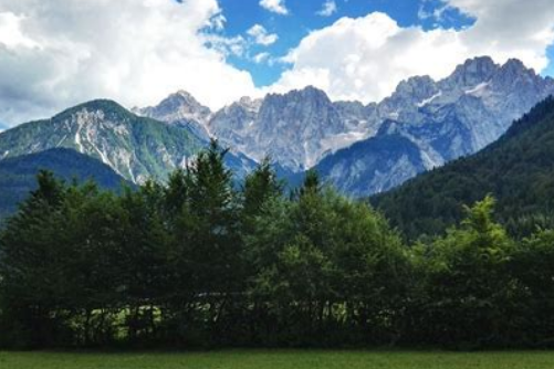 images是什么意思