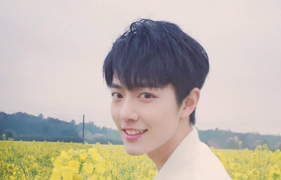 肖战工作室再发文谴责营销号,为何网友看见后却纷纷感谢华莱士?