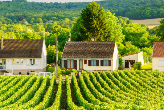 village是什么意思