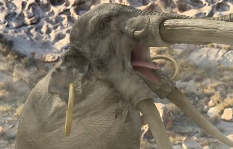 黄牙老象的介绍