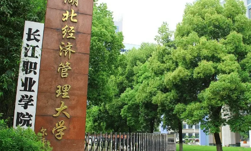 武汉市高职高专院校排名？