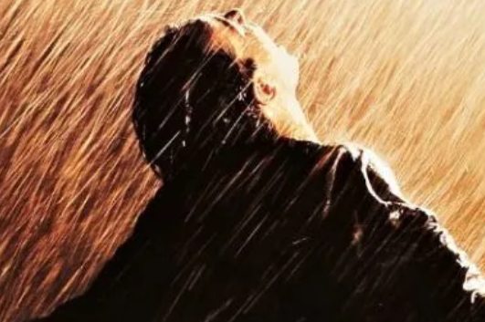 世界公认排名前十的电影