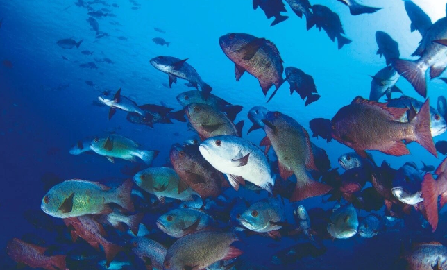 离天堂最近的地方在哪儿？