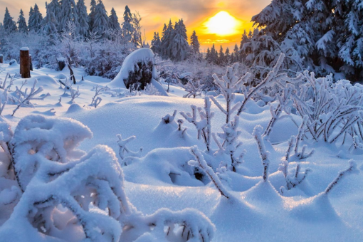 天寒地冻什么意思