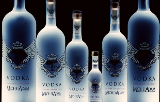 抖音魔性歌曲《小鸟伏特加》歌词是什么？