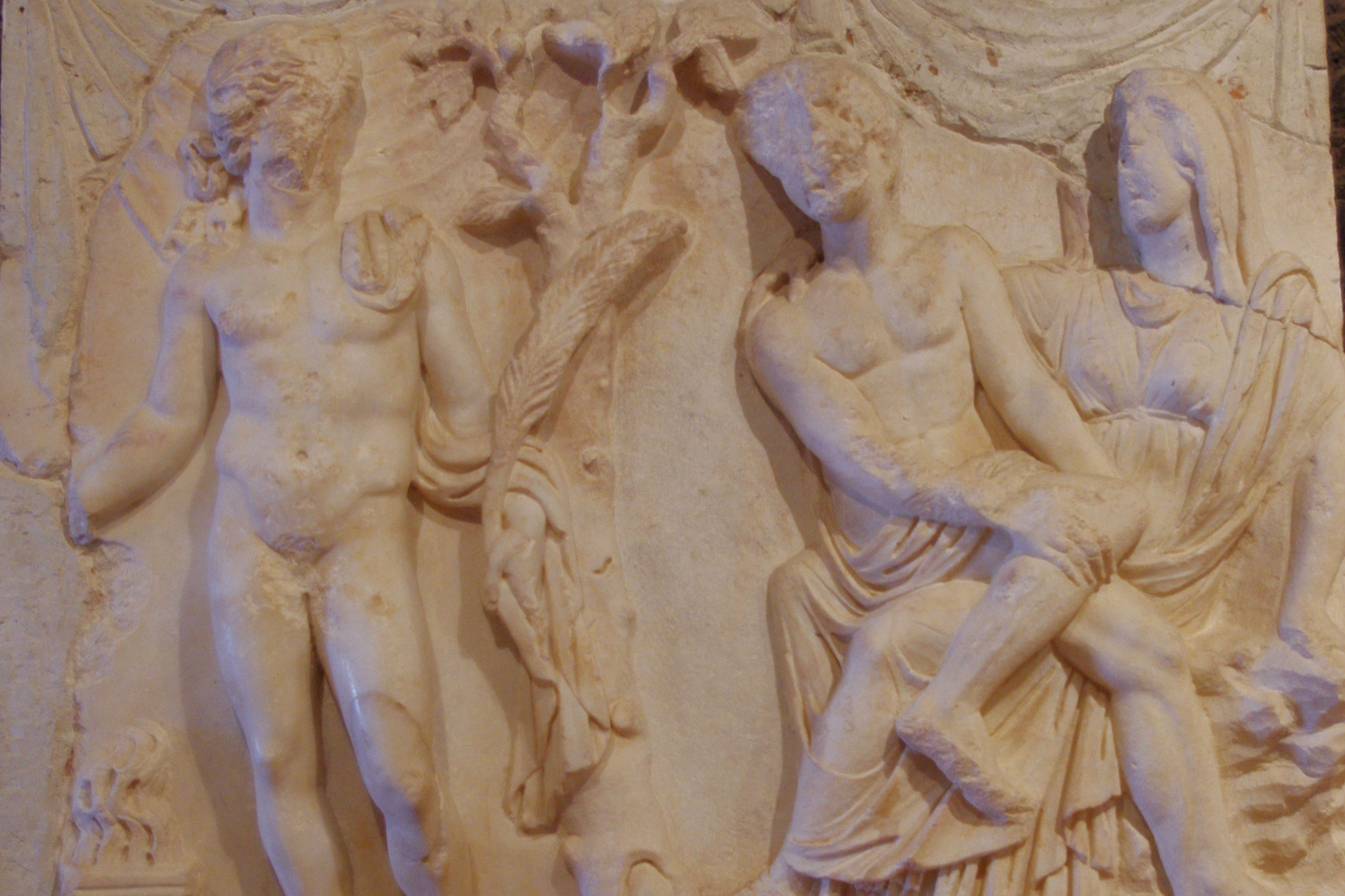 为什么玫瑰花象征着爱情？