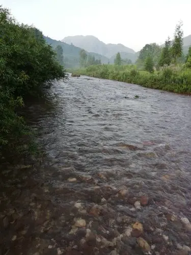 重庆一村庄河水冒泡竟然能点燃!为什么?这是咋回事?