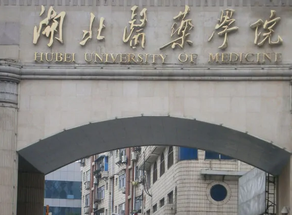 湖北医药学院分数线