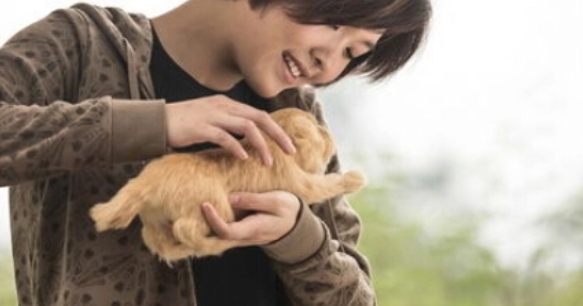 神犬奇兵演员有哪些?