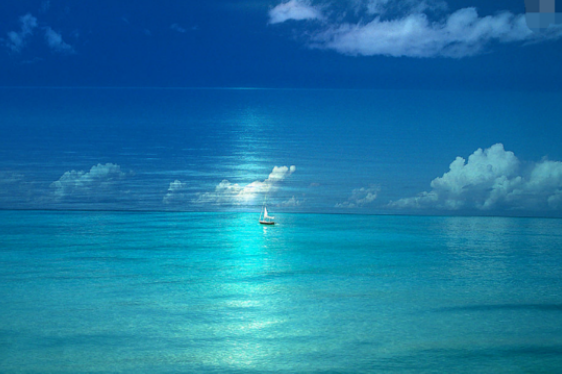 著名的现代诗歌有哪些?