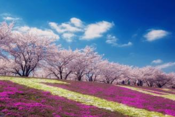 著名的现代诗歌有哪些?