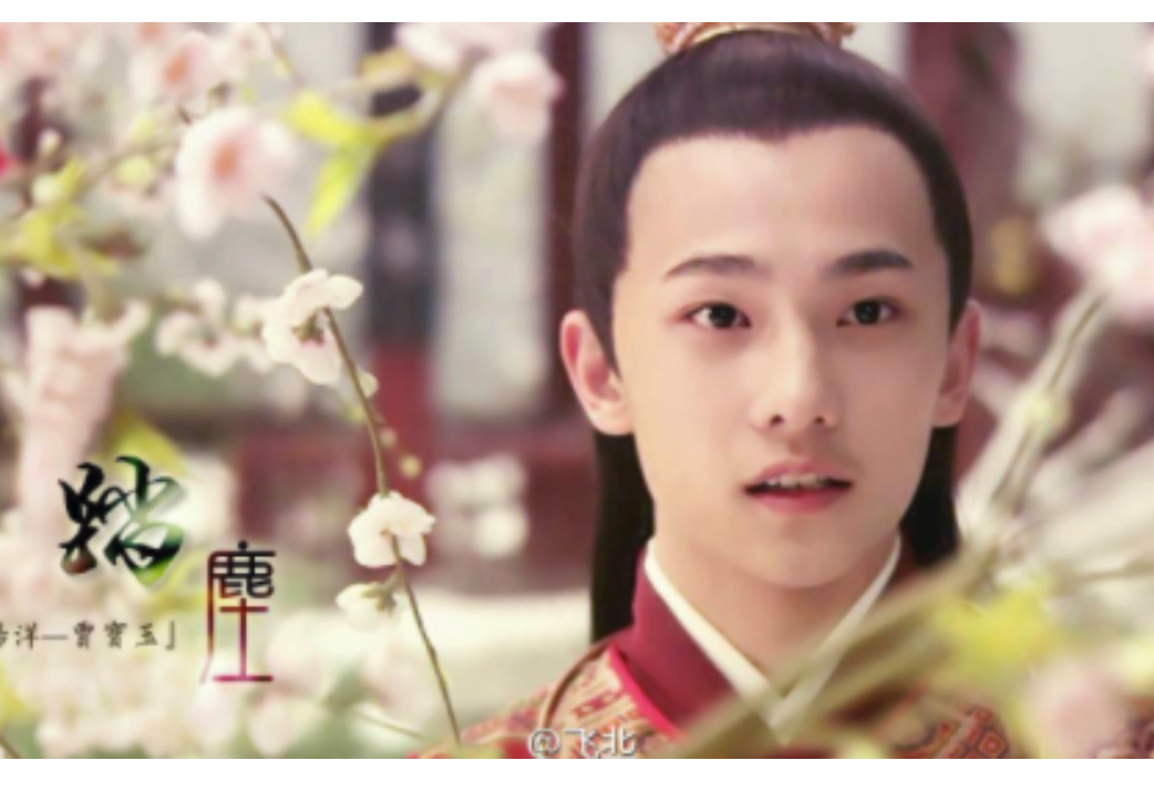 杨洋演的《红楼梦》是哪部?