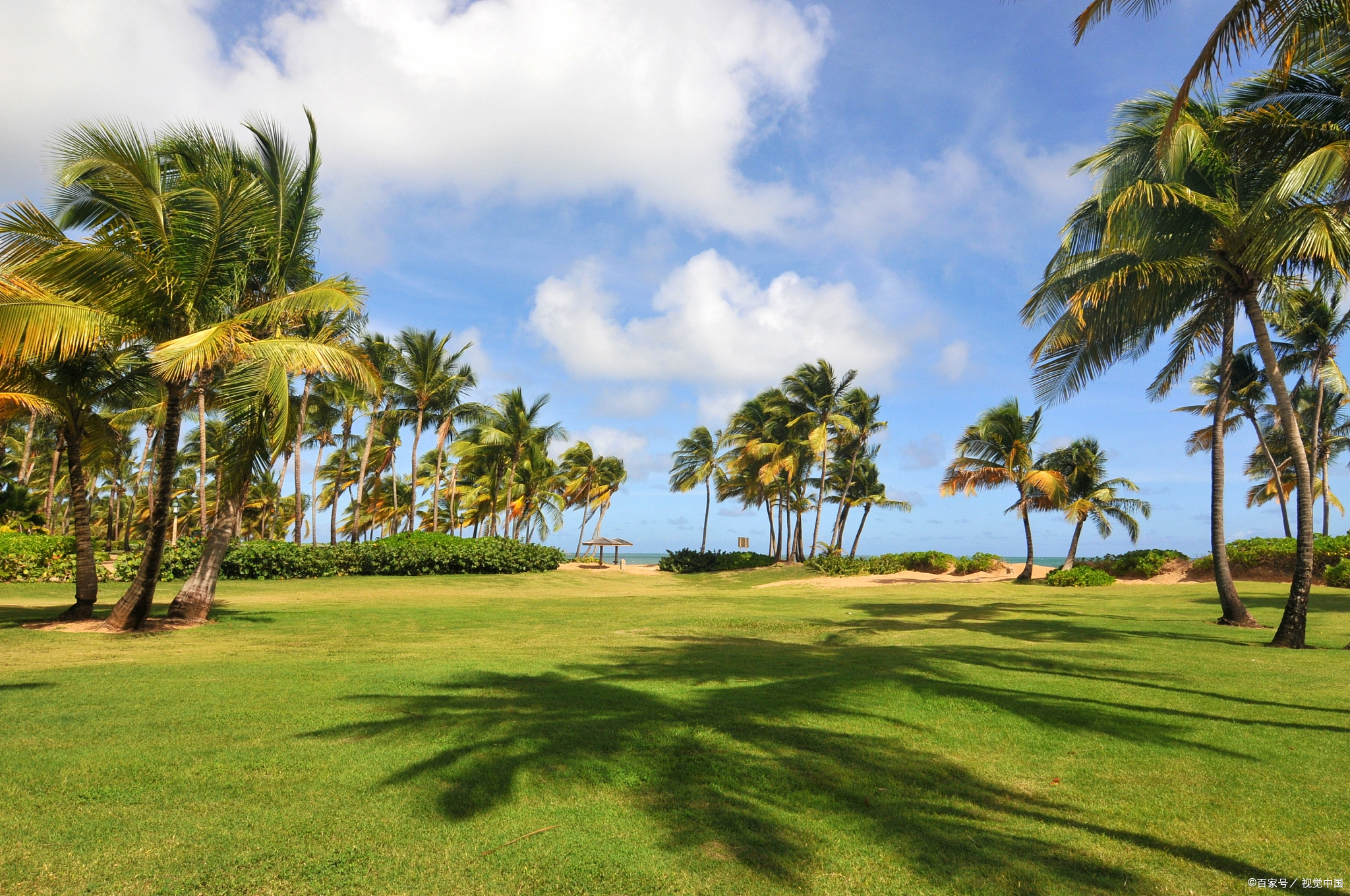 波多黎各到底为何要执意加入美国呢?