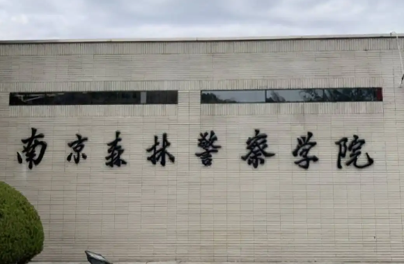 提前批学校有哪些