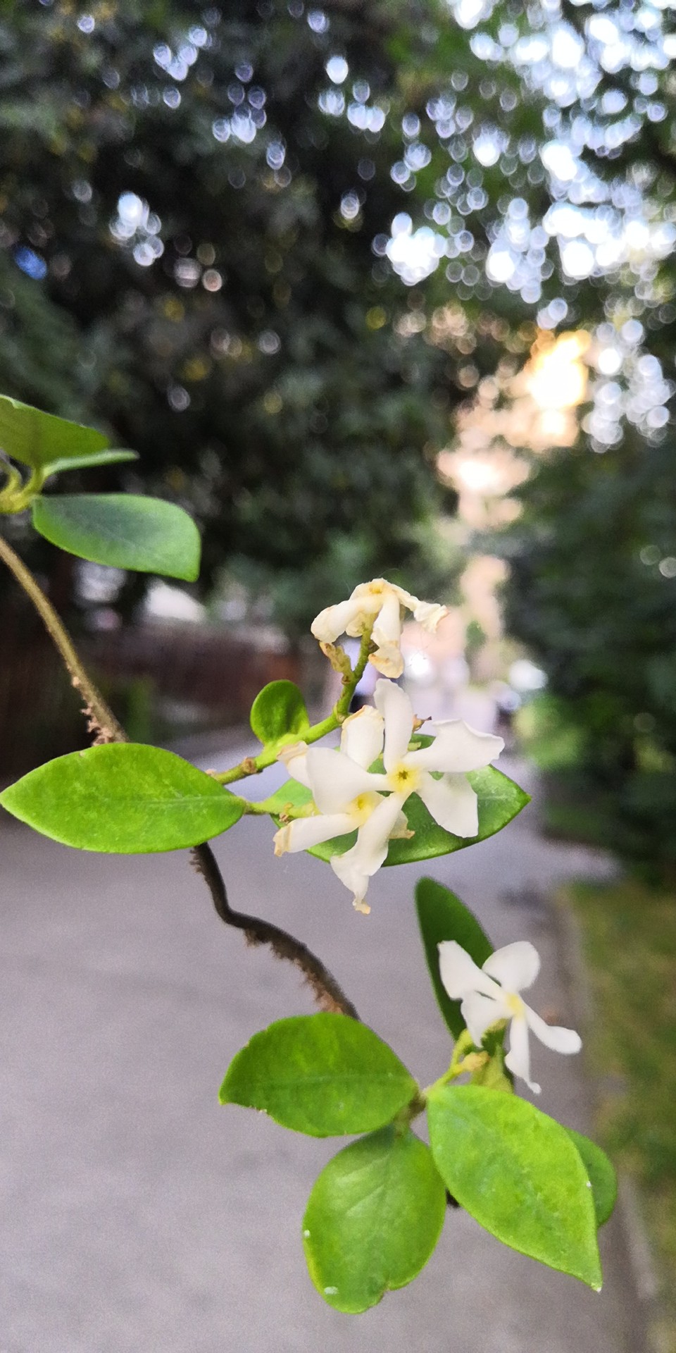 肾结石怎么才能快速排出来？