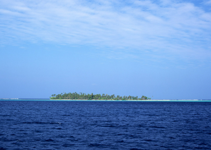 怎样理解薛之谦新歌《高尚》的歌词意思?