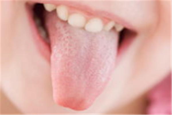 人类全身上下最强劲有力的肌肉是什么？