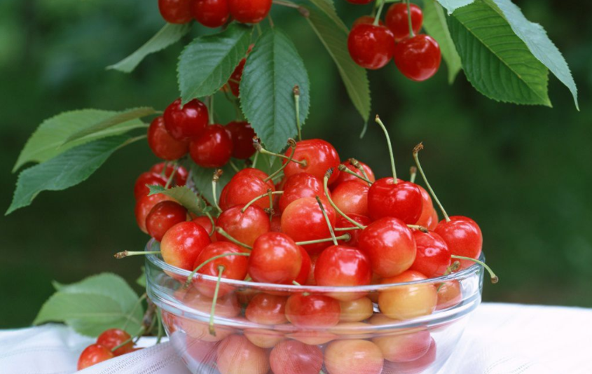 樱桃是属于什么性质的食物？热性？凉性？