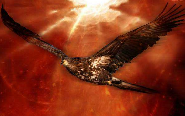 鲲鹏是什么意思